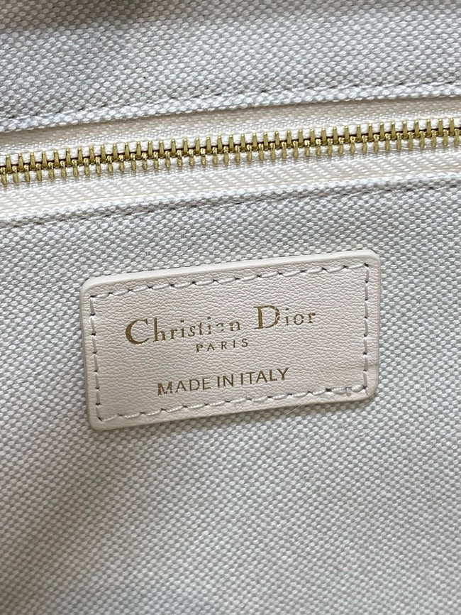Small Dior Book Tote Dior Oblique Embroidery and Calfskin M1325CZ-1