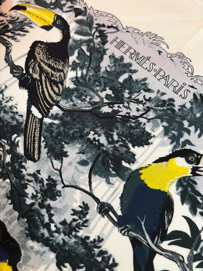 Hermes Shawl Cashmere and Silk 06396