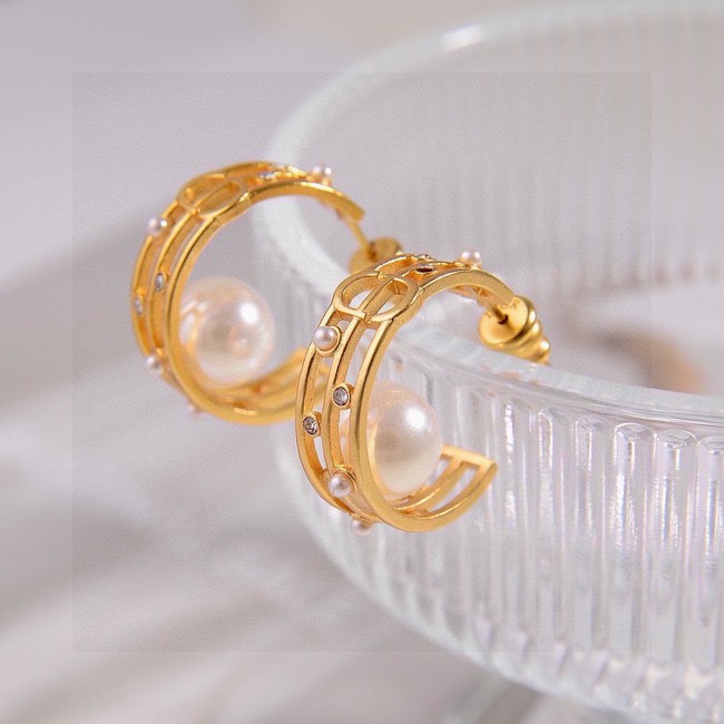 Dior Earring CE81697