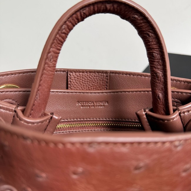 Bottega Veneta Mini Andiamo Sapele 805232 Sapele