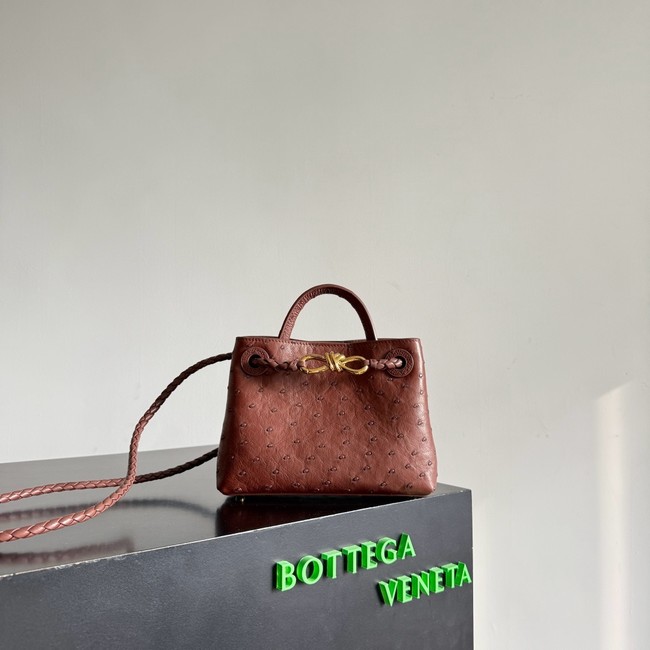 Bottega Veneta Mini Andiamo Sapele 805232 Sapele