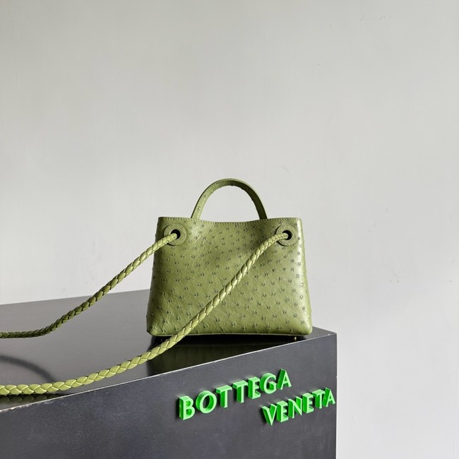Bottega Veneta Mini Andiamo Sapele 805232 green
