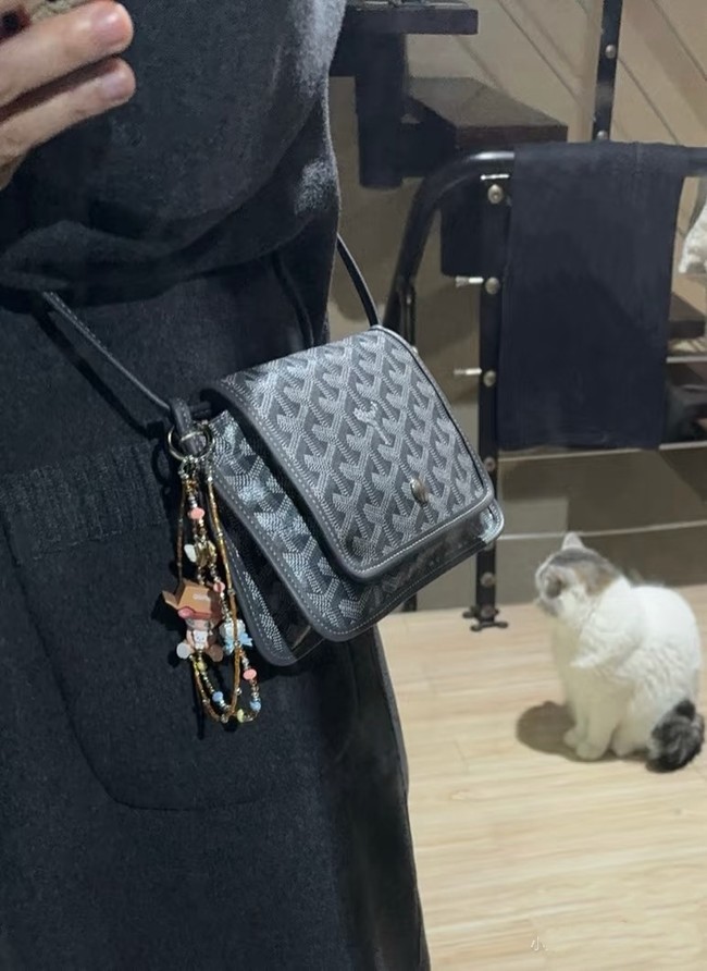 Goyard PLUMET crossbody bag TY43 brown