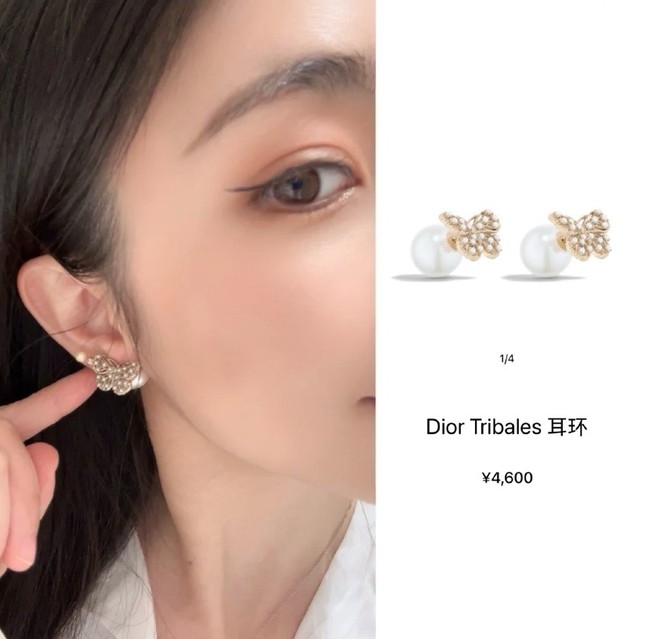 Dior Earring CE81810